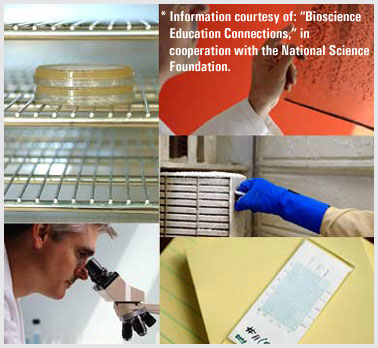 Biotechnician Tasks